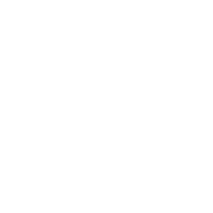 22sgred 300x300
